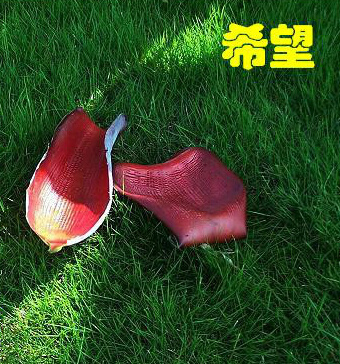 也许奋斗了，耕耘了，却未得到应有的收获，但衡量一个人有无收获的价值尺度绝不仅仅是