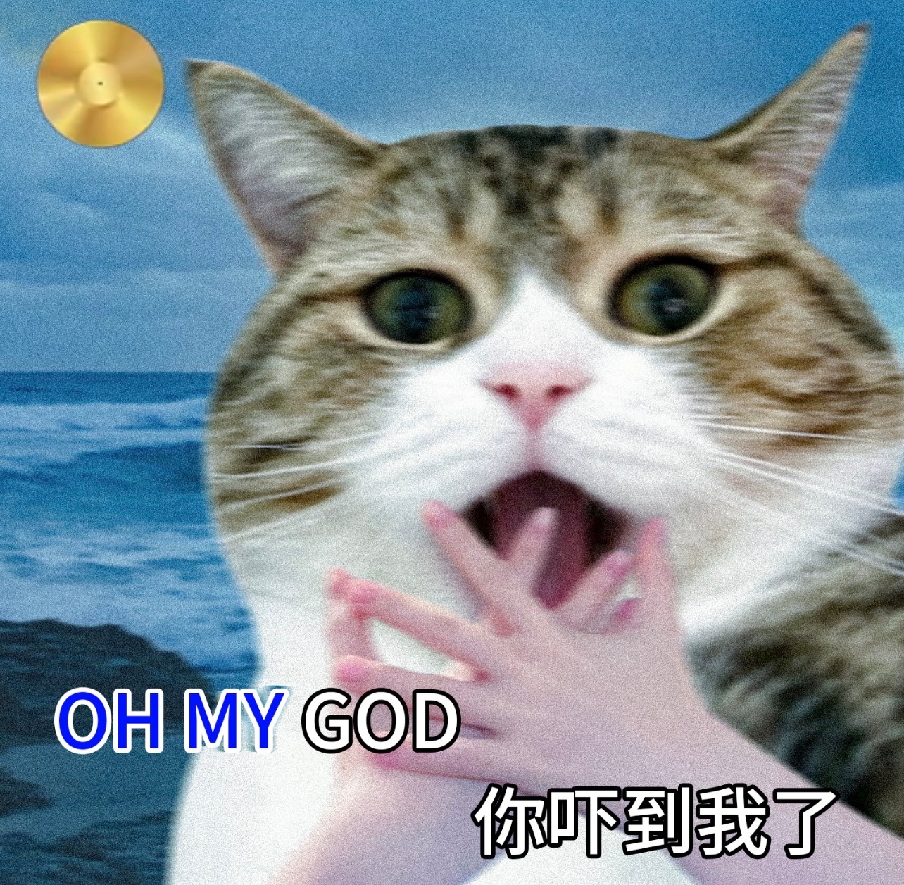 去办事 工作人员需要查看户口本 照例问了父母的名字我才意识到我的母上大人也叫ji