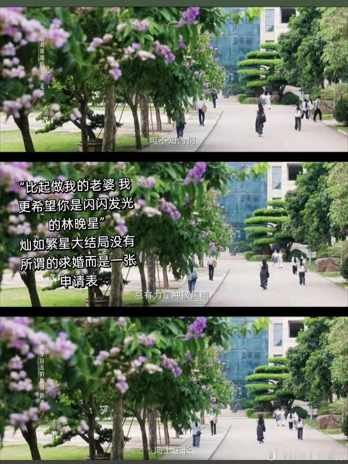 灿如繁星女主结局是做自己《灿如繁星》大结局里，女主林晚星的归宿不是披上婚纱，而是
