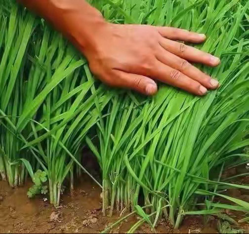 很多人问，指数没怎么涨，钱怎么都去科技了？答案很简单，现在的市场，根本不是普涨的