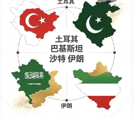 土耳其天天想着奥斯曼帝国的荣光，沙特有钱，巴基斯坦是伊斯兰世界唯一有核国家，去年