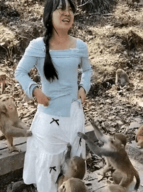 这群猴子这么可爱，她到底在怕什么？