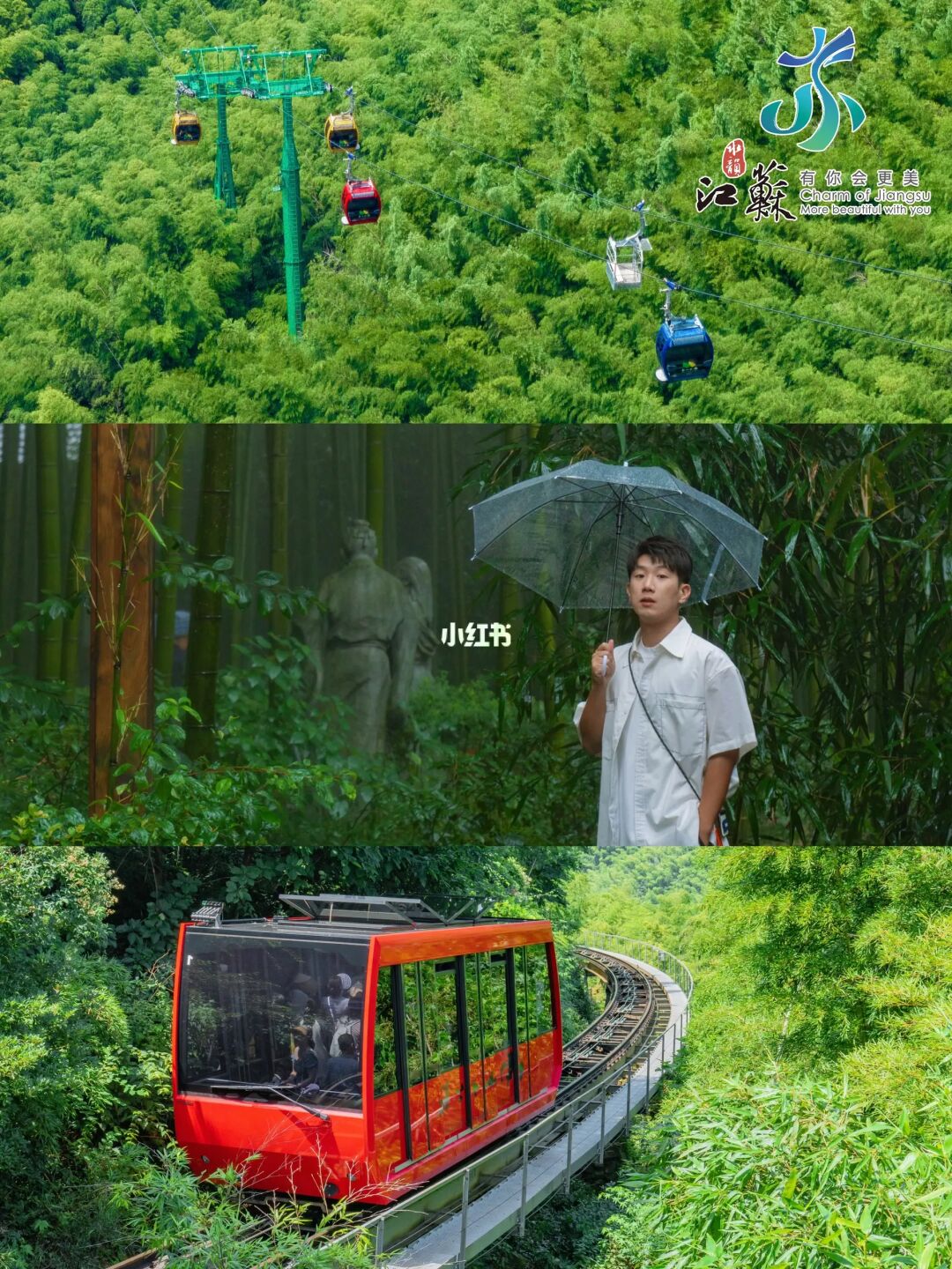 后悔才来溧阳🍃这穿越竹海的小火车太绝了