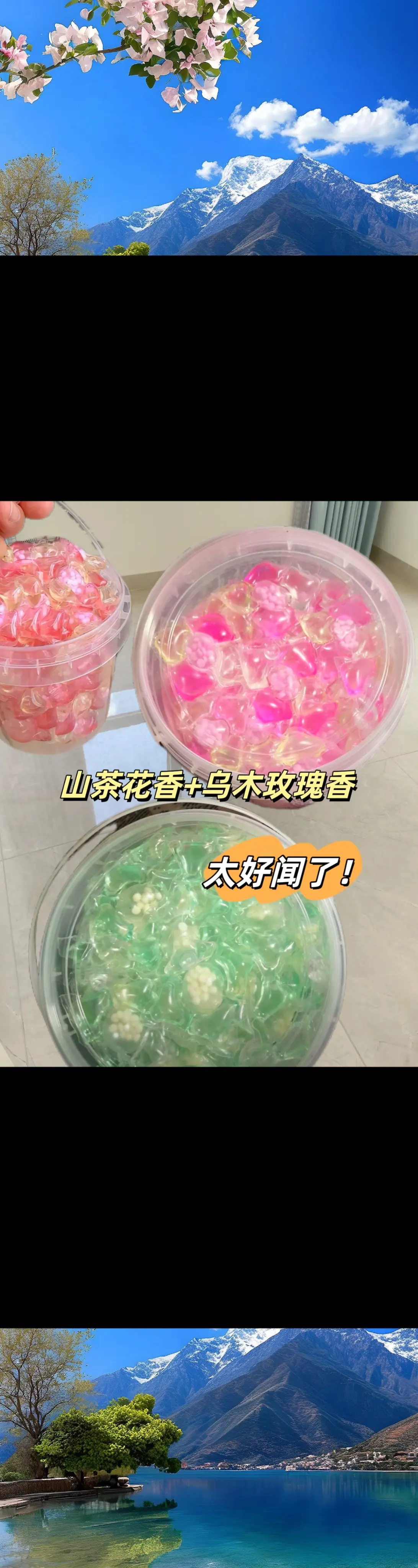 真的不敢相信！这个价买到两桶洗衣凝珠 洗衣凝珠！还是山茶花香与乌木玫瑰...