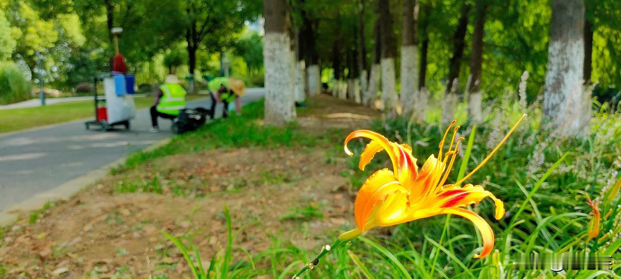 人生建议
禁止焦绿🌲