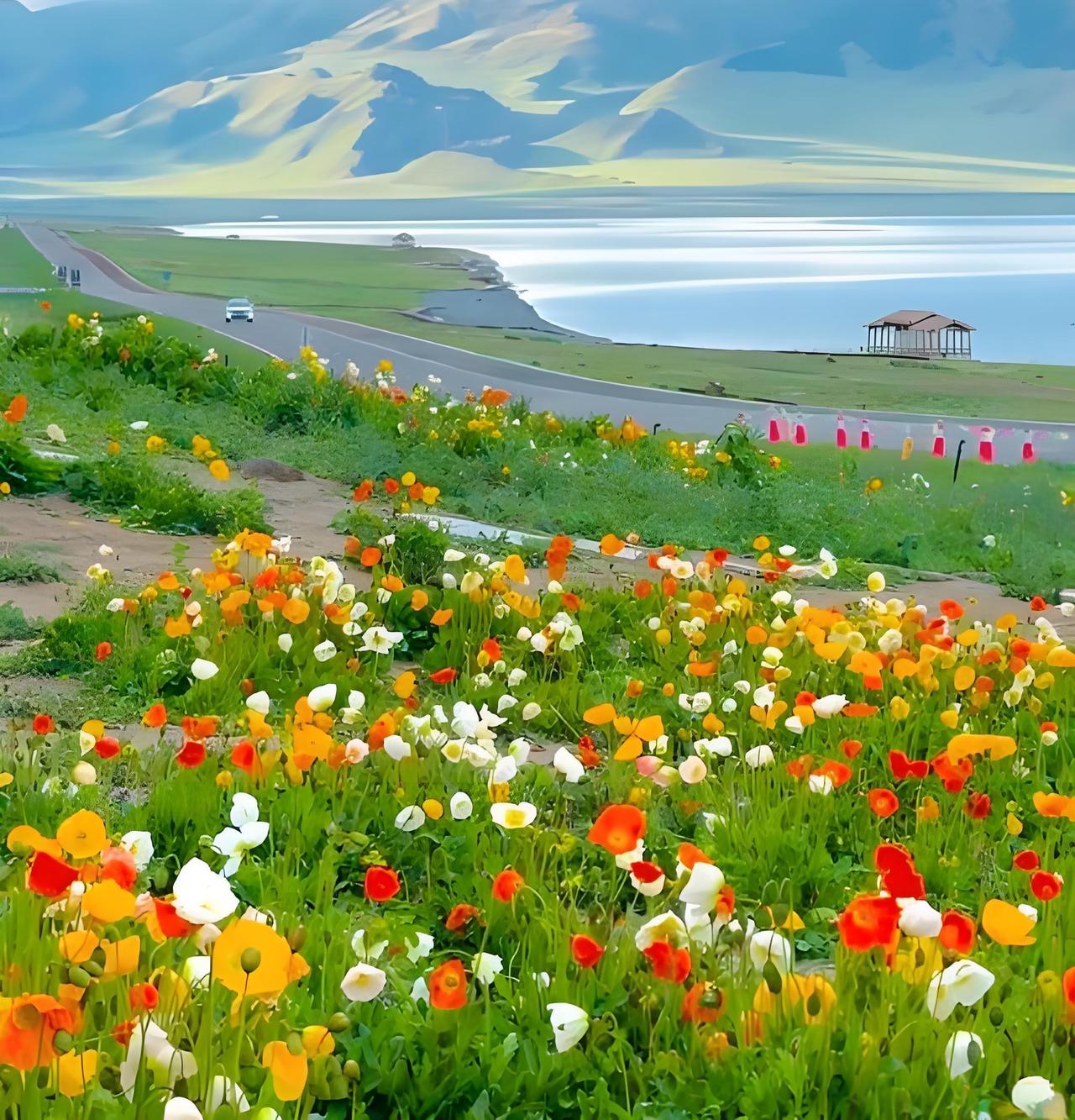 昨天，在饭店打包了一份炖鸡块，以为被坑，结果老板又专门找人免费送了一份，还外送一