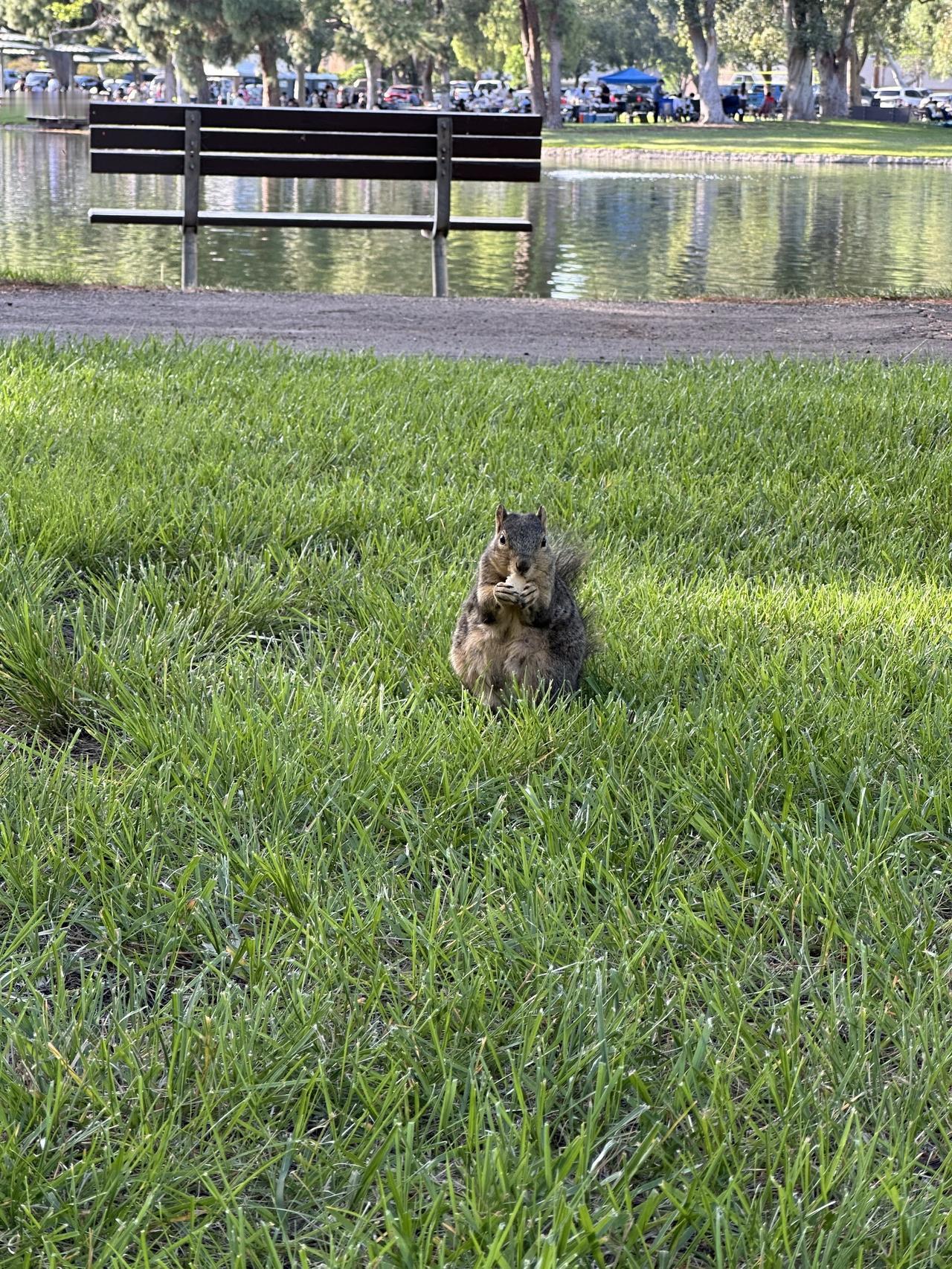 聊聊赴美生子：我为什么要这么mean？最近美国最高法院关于出生公民权的口头辩论，