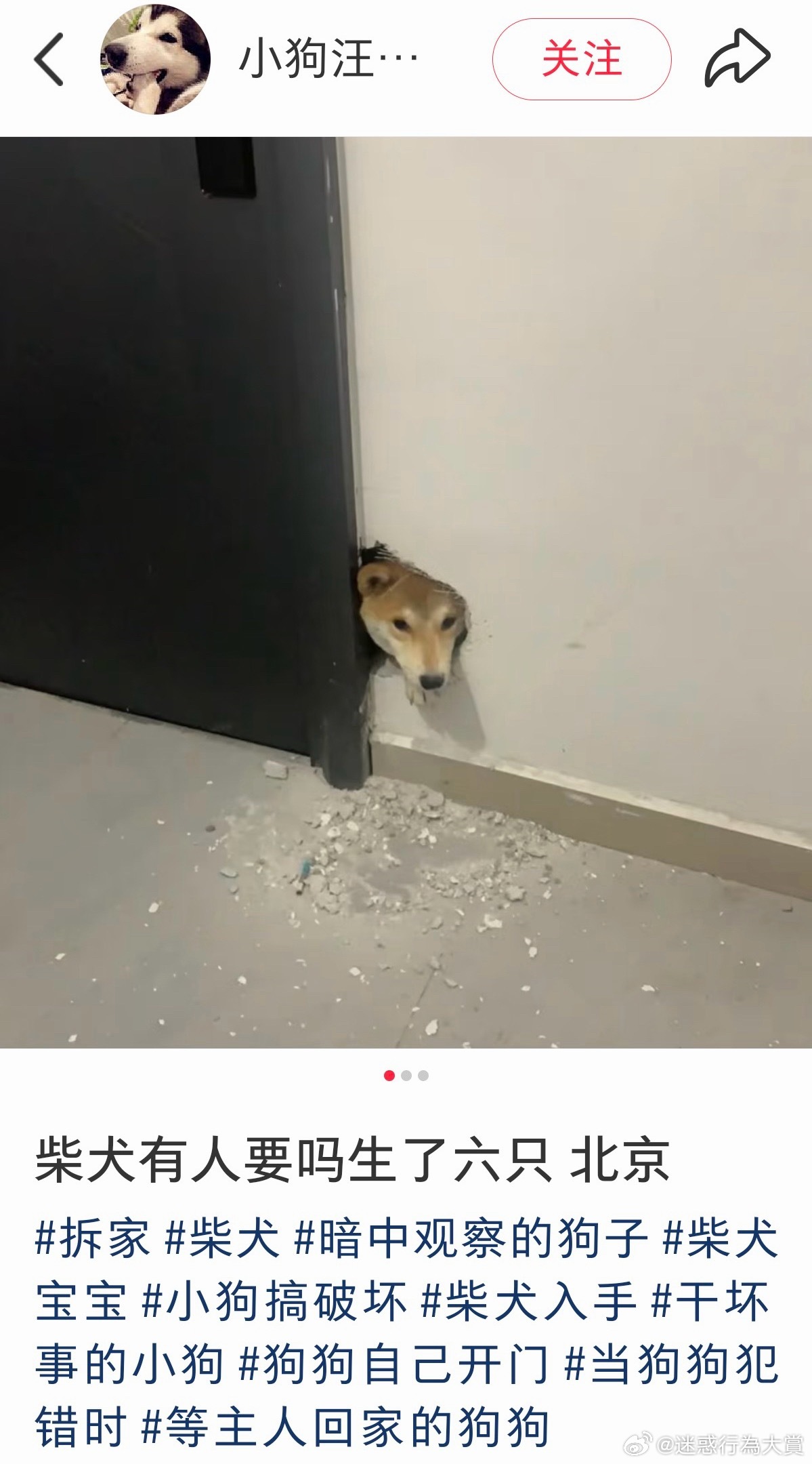 谁敢要 