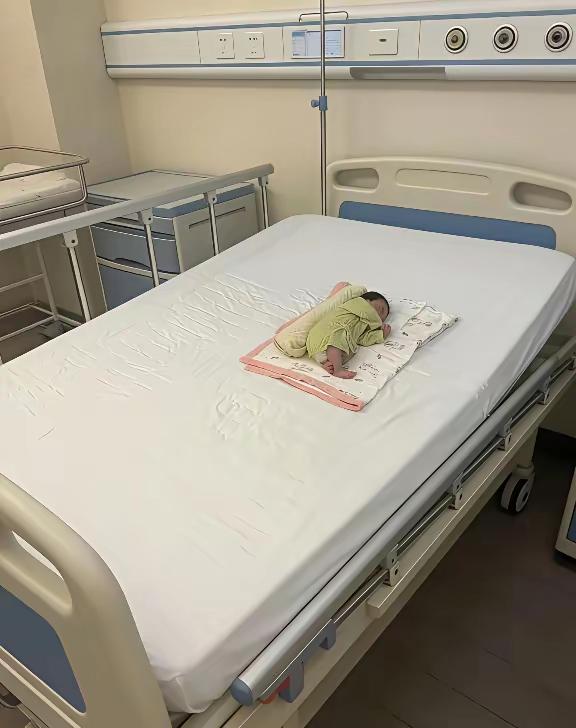 大只好，小只也好，只要是一整只就行 [捂脸][捂脸]