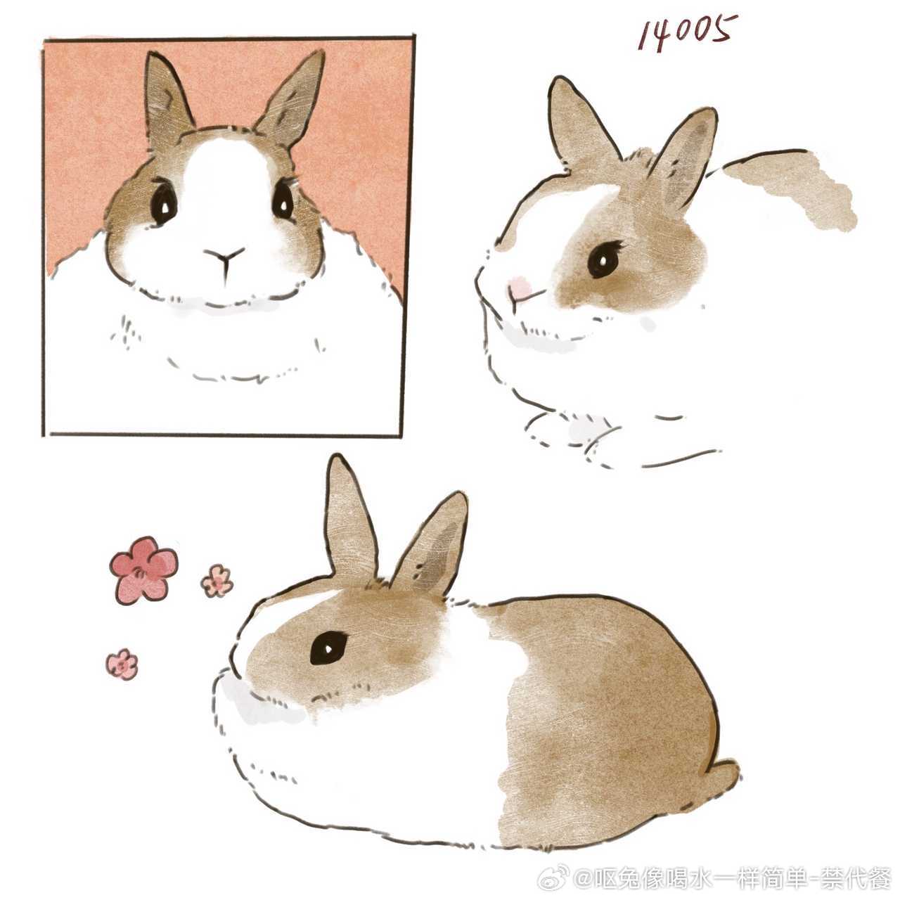 14038🐇【因为太可爱所以激情摸了】是14005的兔宝！ 