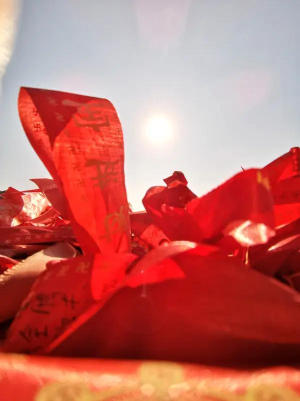 2月15日，腊月二十八，这时候年味已经浓得化不开啦！充电器一拔，回家的心都在欢呼