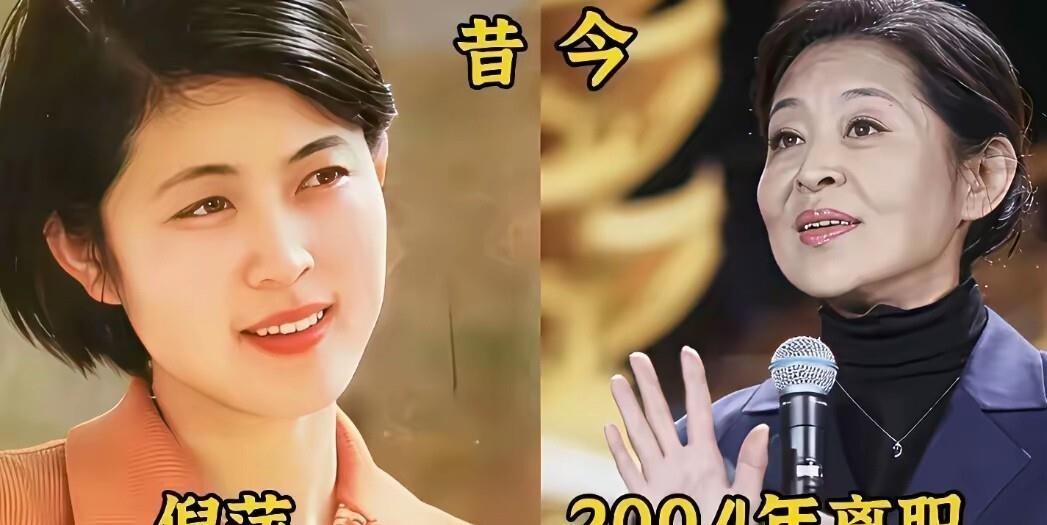 倪萍王小丫李静文清，都没在央视主持位子上干到退休。倪萍当年淡出，主要是陪儿子治病