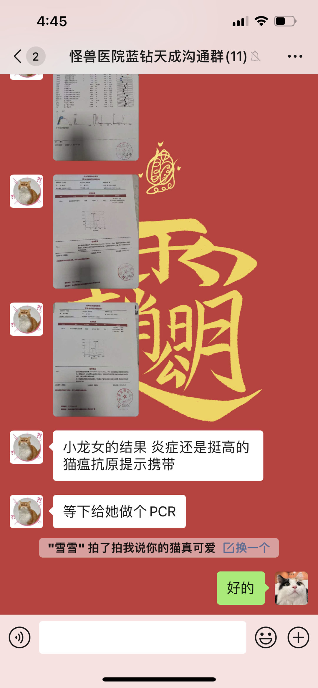 其实昨天傍晚还有一个波折~ 就是小龙女有明显眼口鼻分泌物，就做了一系列检查，有个
