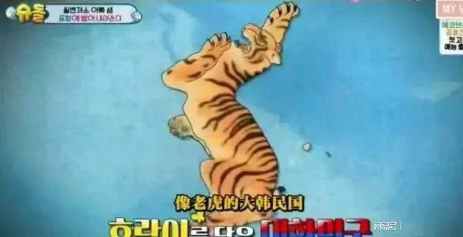 是老虎，还是毛毛虫？

韩国“意淫”自己是一只老虎，

孔武有力，威风凛凛，虎虎