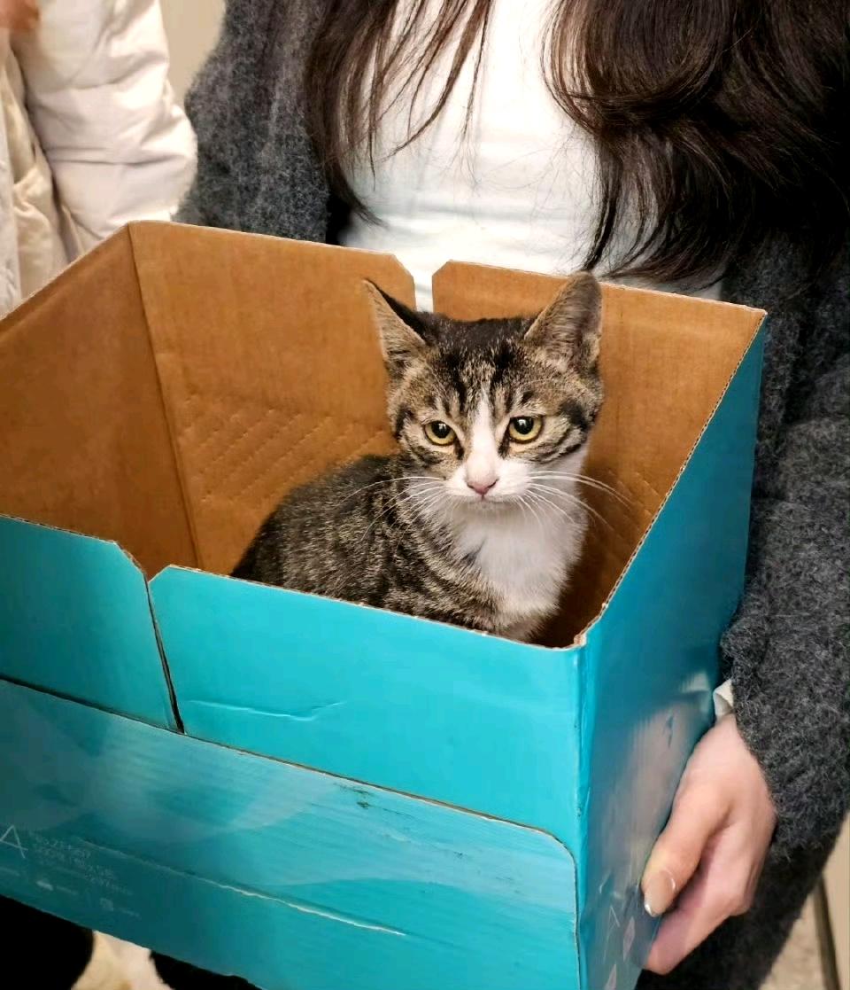 同事早晨一直说她的车有异响，不正常，怀疑底盘进东西了。趁着午休，大家帮同事找原因