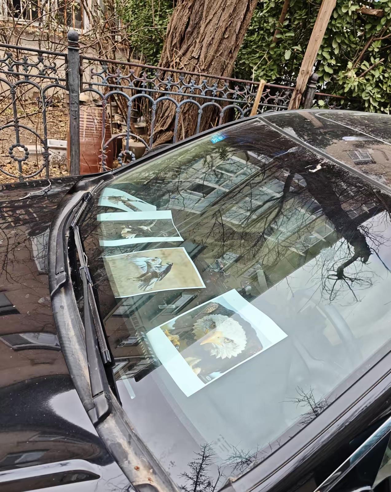 为了防止鸟屎也是什么招都用了[捂脸]