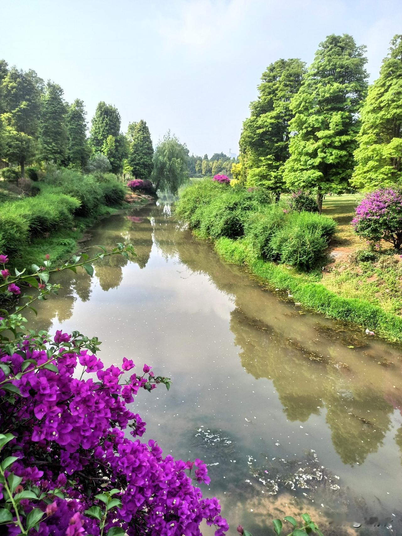 甸溪河的春天，草长莺飞，绿意盎然，万物生长竞自由。摄于云南弥勒甸溪河湿地公园。公