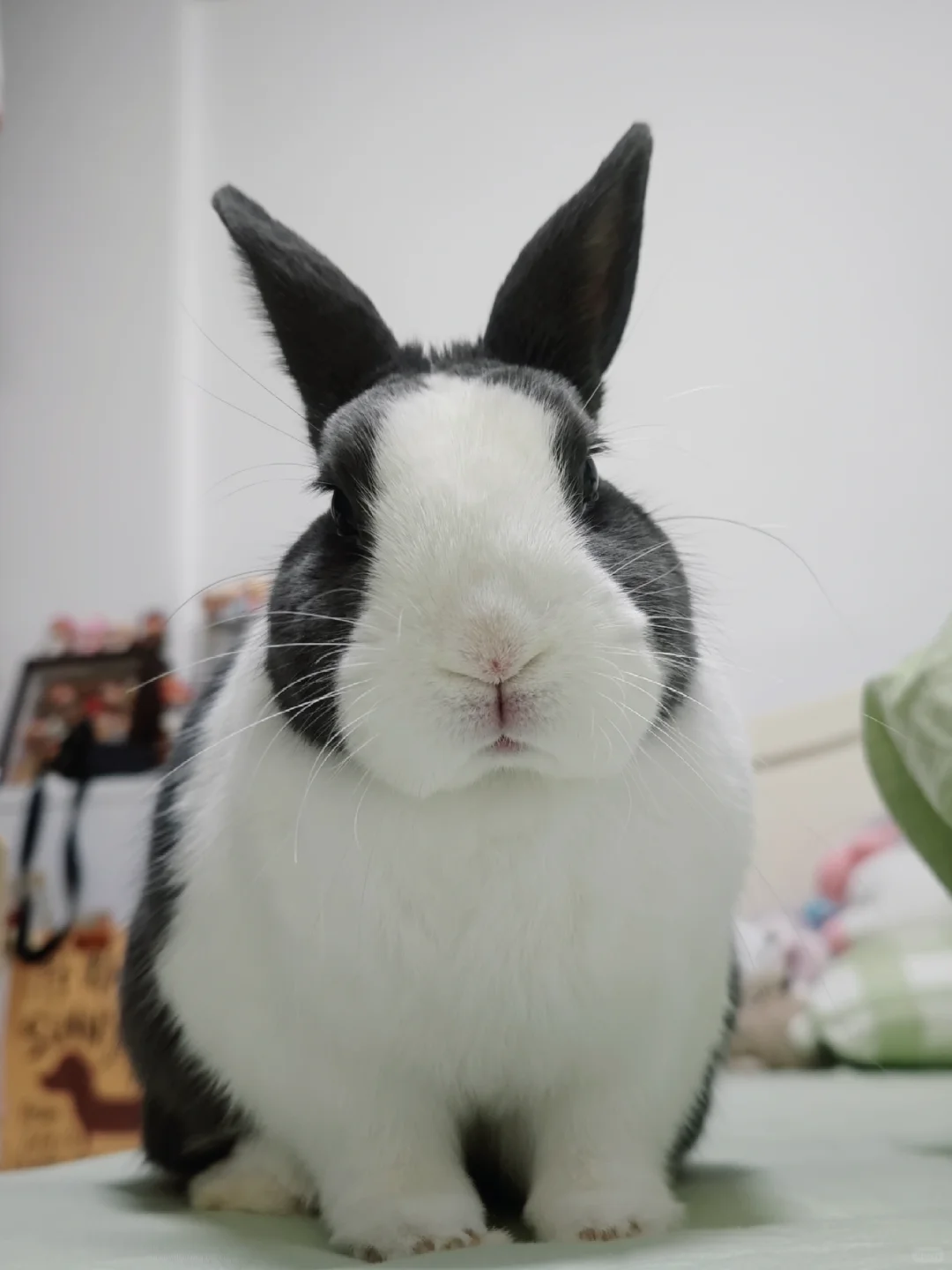 睫毛精～