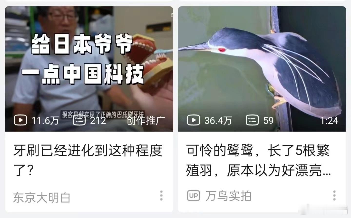 夜鹭，给老人刷假牙 