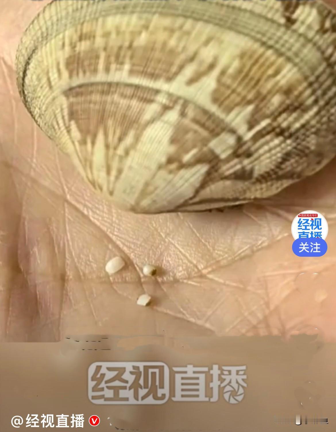 近日，山东青岛张先生的妈妈花15元钱买了整整2斤新鲜蛤蜊，回家简单爆炒一盘，全家