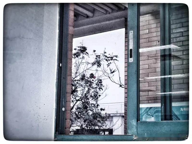 看到“寒窗幸有桃香在”这个上联，感觉画面感一下就来了，清冷的寒窗下有桃花香相伴，