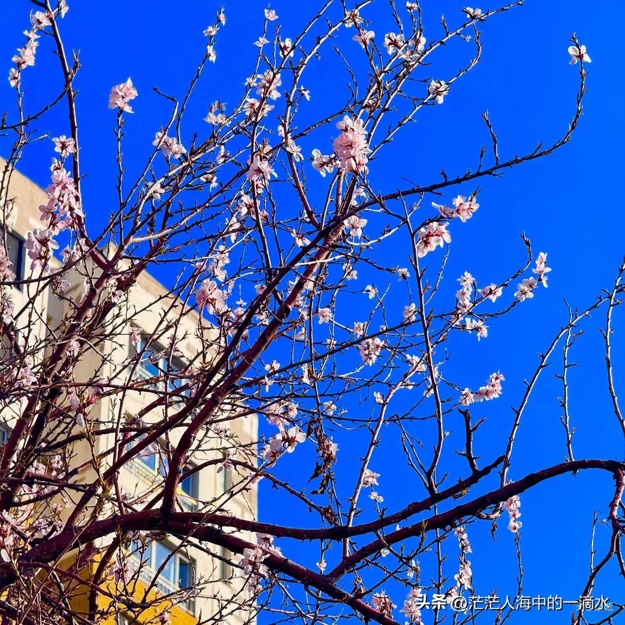摘自QQ空间的文章，十年前的今天

有个事，让我特别震惊，简直怀疑人生了。

我