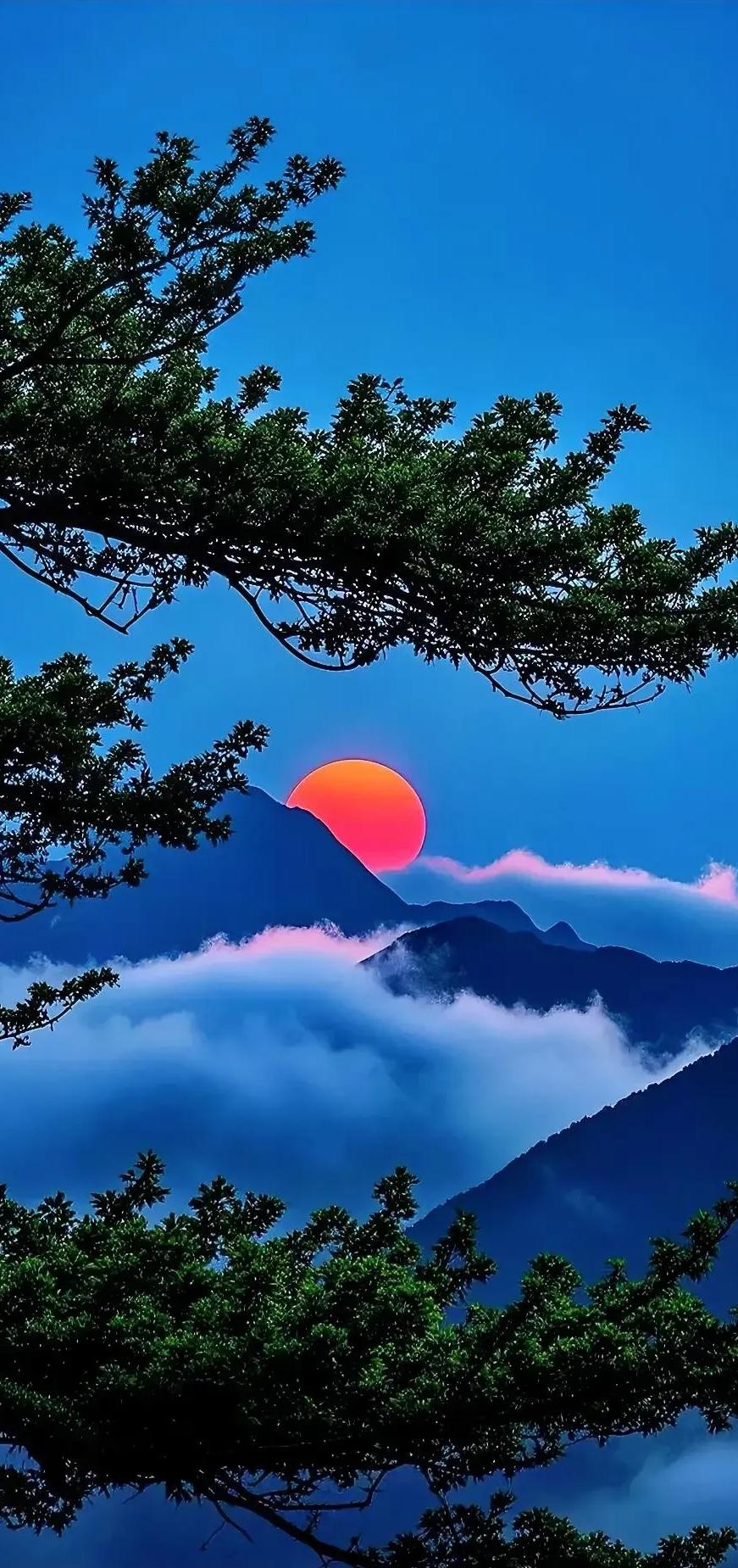 白天结束以后,太阳到哪里去了?
太阳也需要回家休息休息啊。
太阳的家人就在西方极