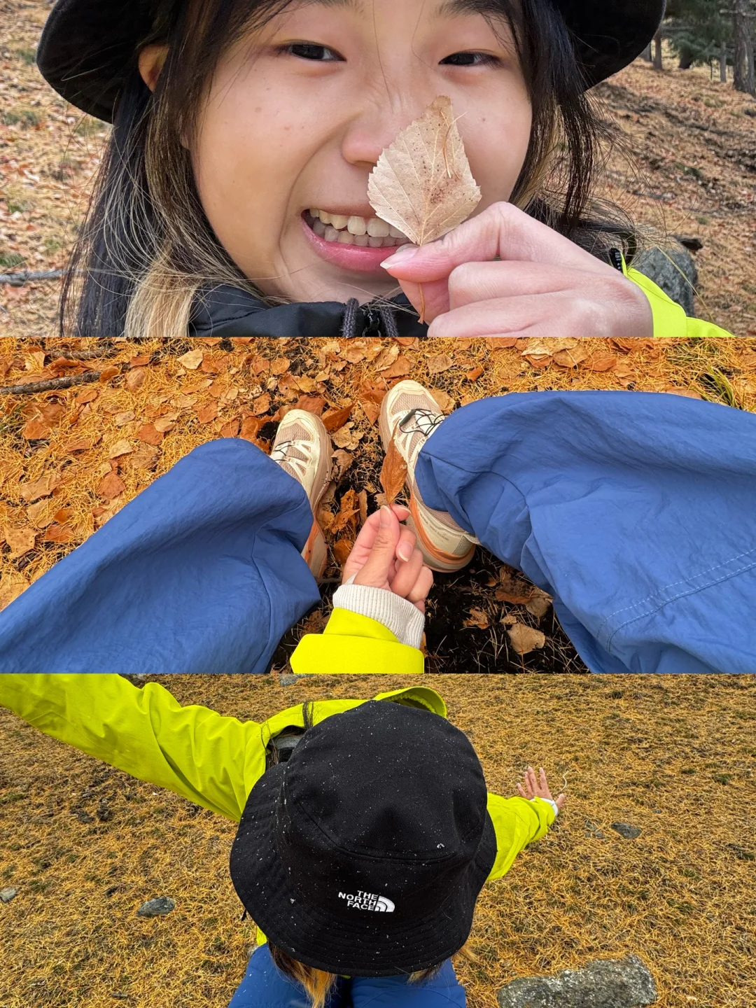 是谁在课余时间飞到新疆捡了最后一天秋