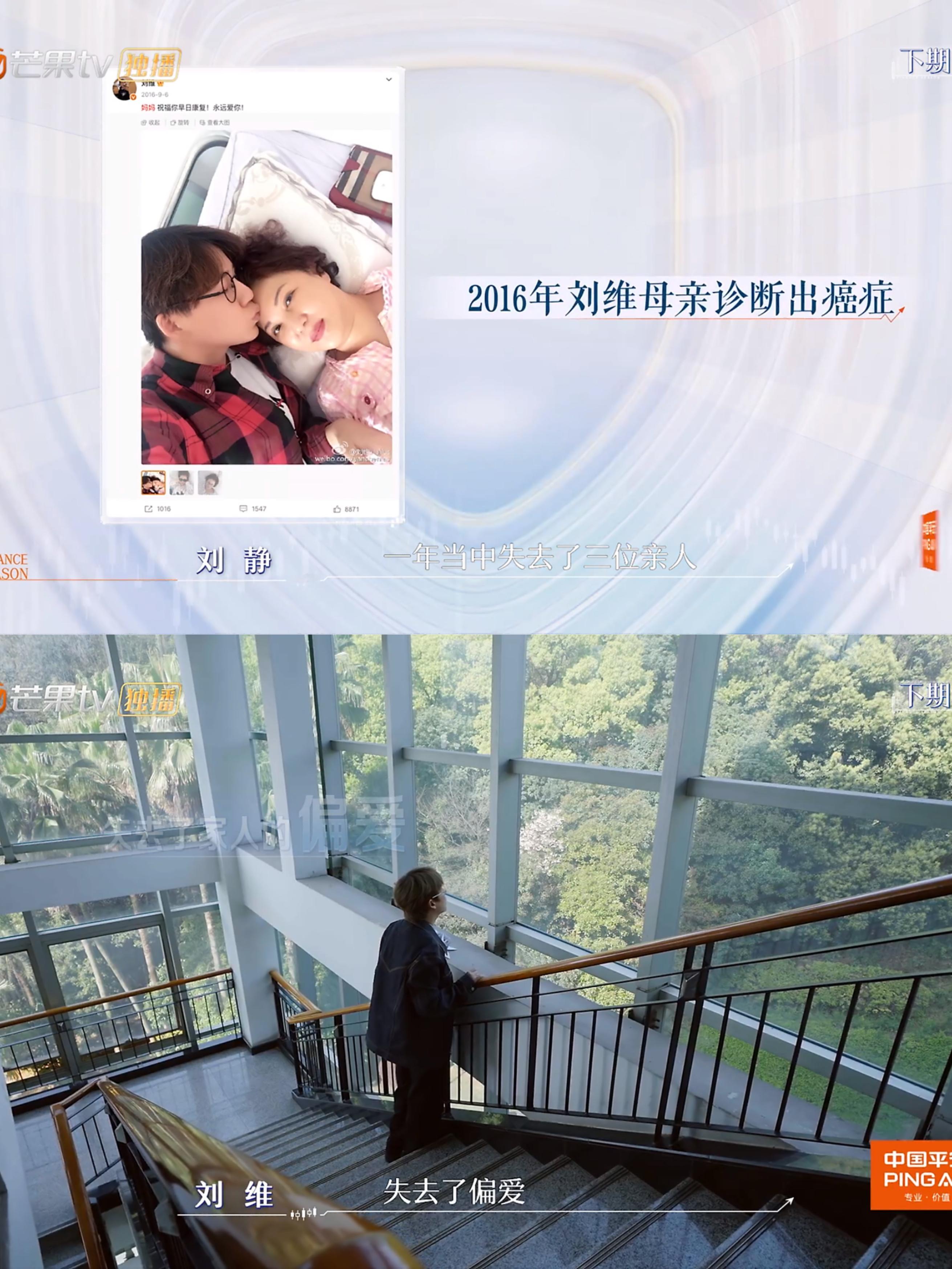 向琴琴返场初入职场曾是满怀憧憬的青涩实习生，突遭变故扛起全家风雨，逆境中淬炼坚韧