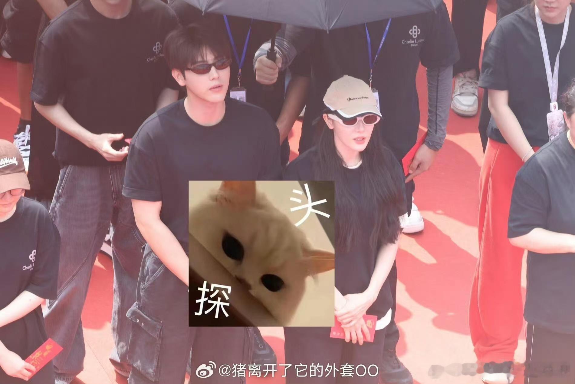 #迪丽热巴陈飞宇黑t开机照##迪丽热巴陈飞宇开机同框照#迪丽热巴陈飞宇开机同框照