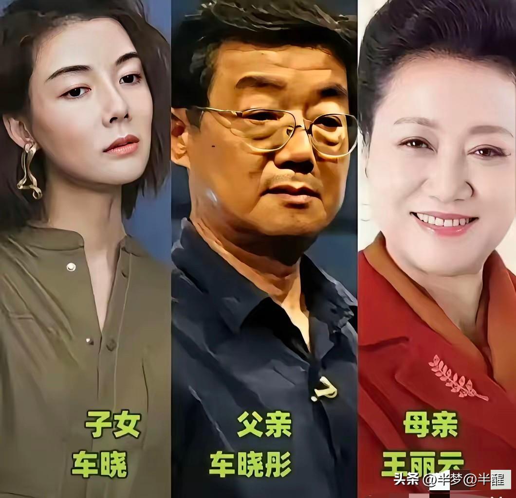 一家三口都是演员！演艺圈里的演艺世家

演艺圈有不少这样的演艺世家，一家人深耕影
