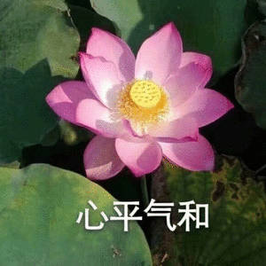 邪魅一笑 
