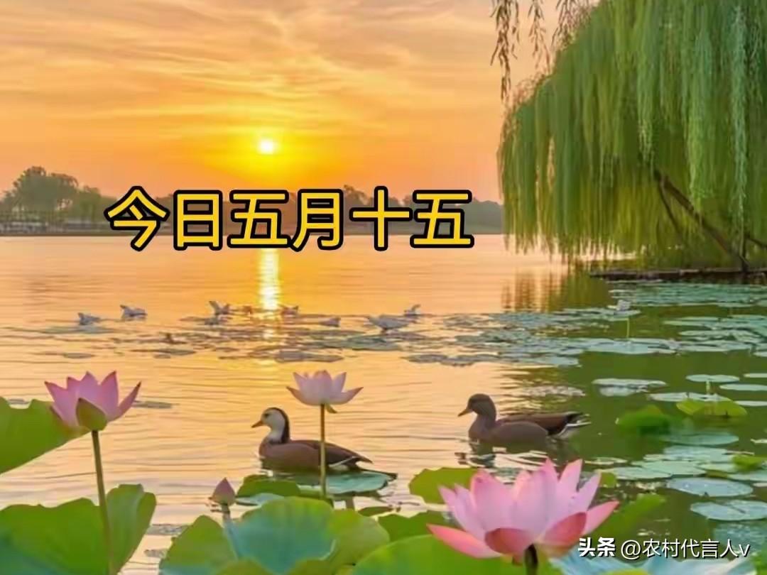 不是迷信！今日五月十五，白天7禁忌，晚上5注意，记得告诉家人
 
农历五月十五，