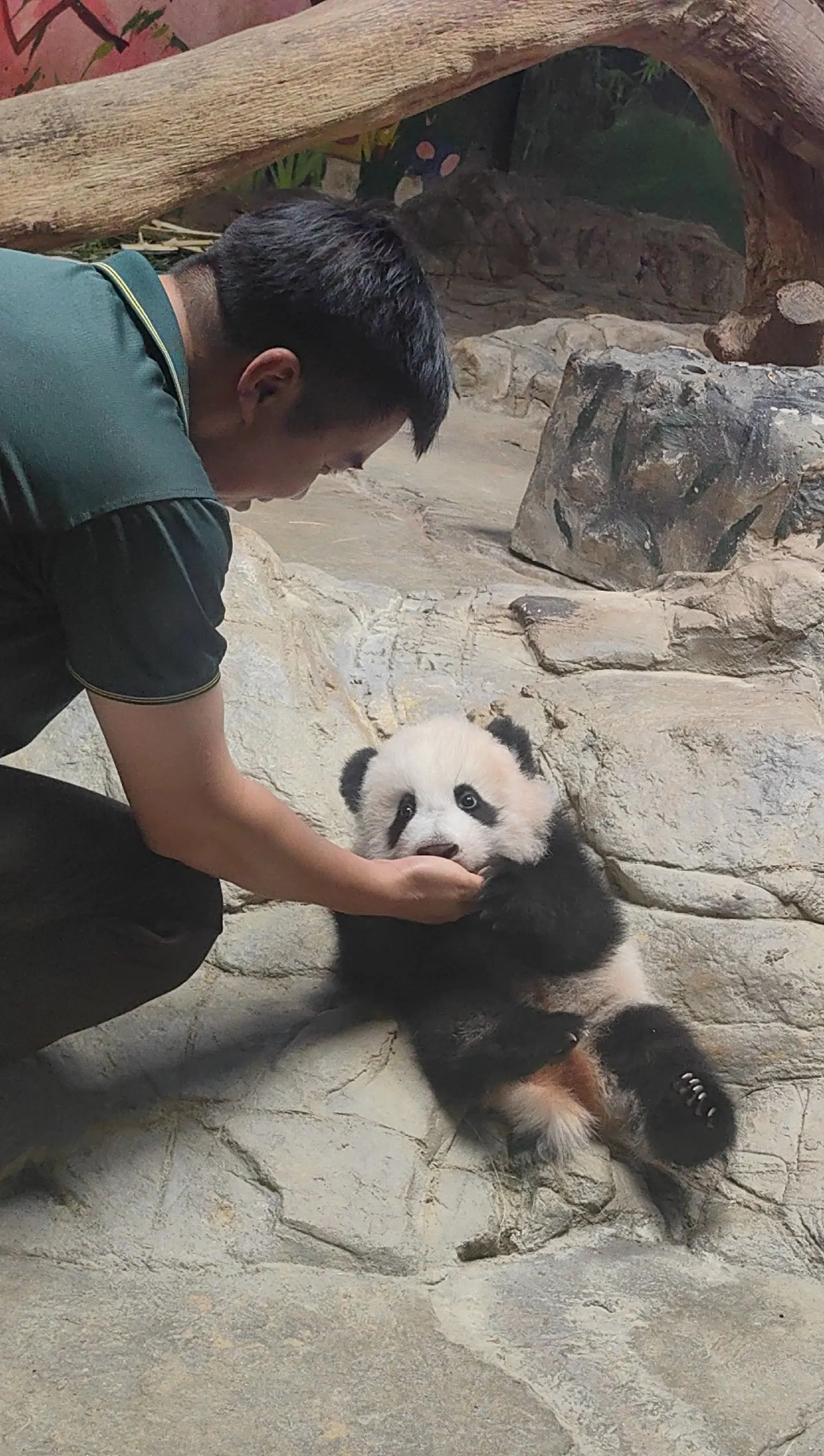 抓拍😍虽然不是高清但可爱就行啦😄