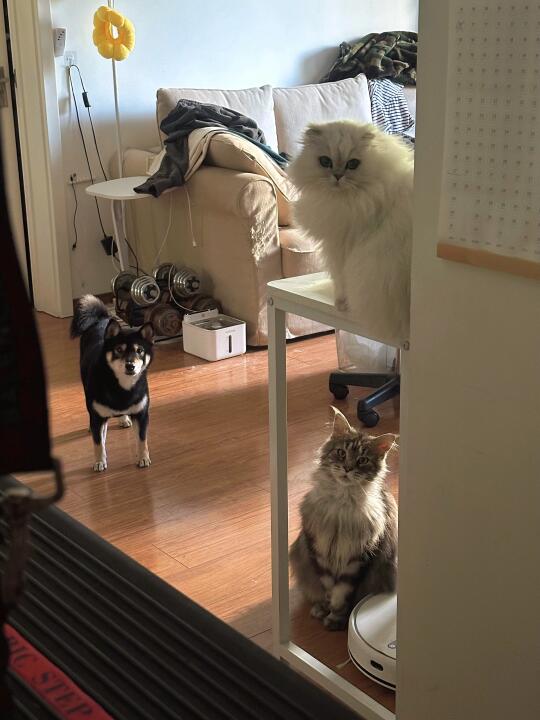 他们的早晨，从看我离开开始