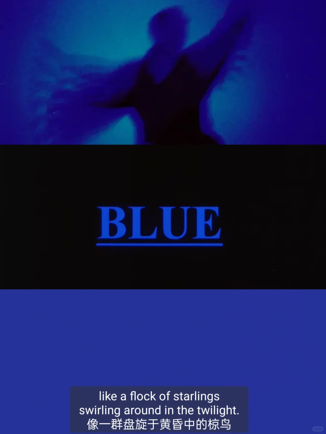 无影像的电影|你们还有幸福，而我即将离去