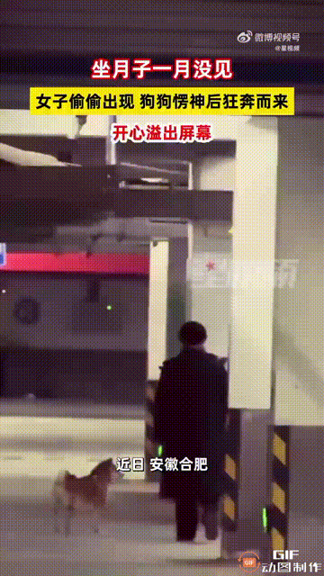 安徽合肥一名女子产后在家坐月子，由于怕小狗吓到刚出生的宝宝，于是便将它带回娘家，