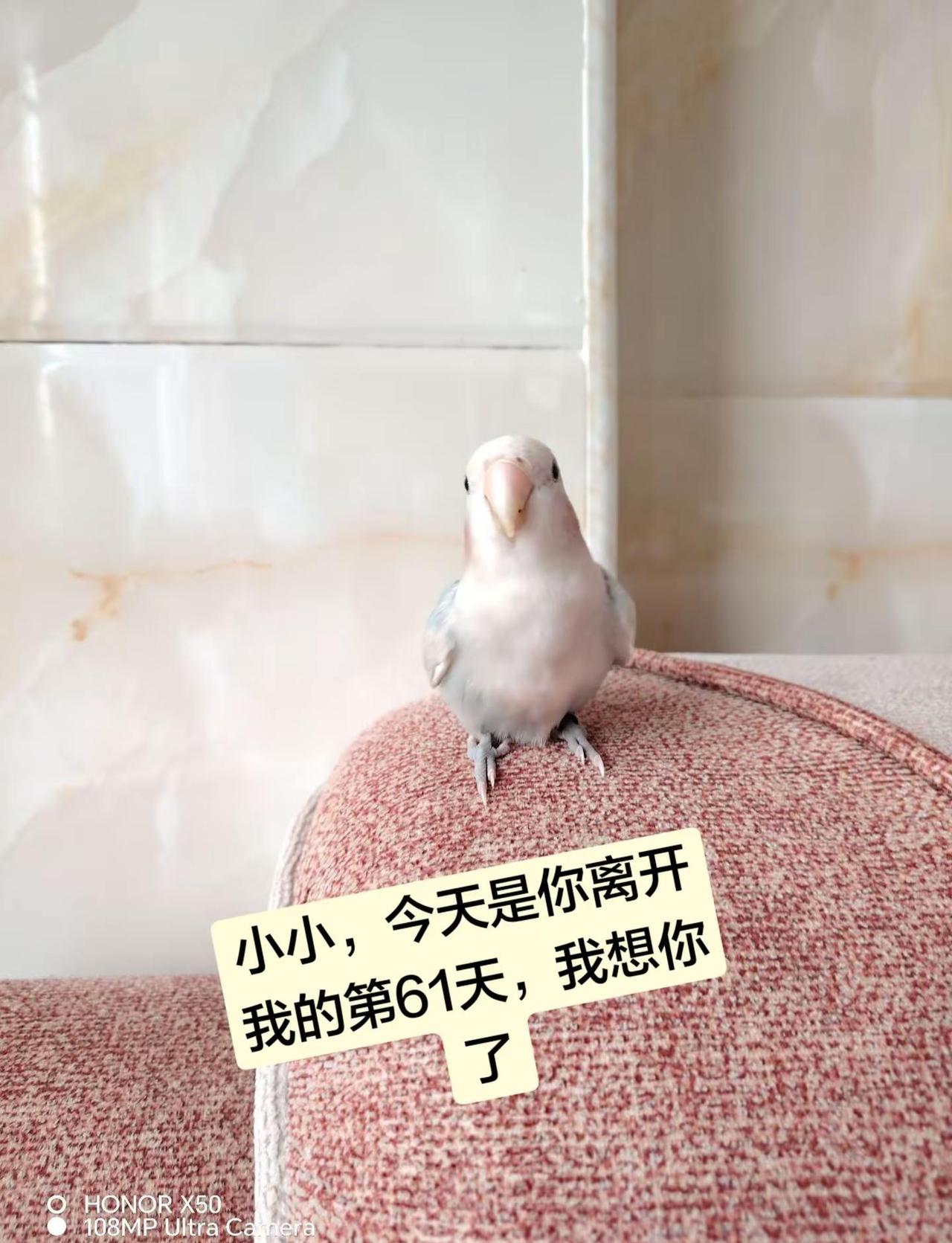 真的突然觉得这段话具象了：“我读得了圣贤书，却管不了这窗外事，心生怜悯是我，袖手