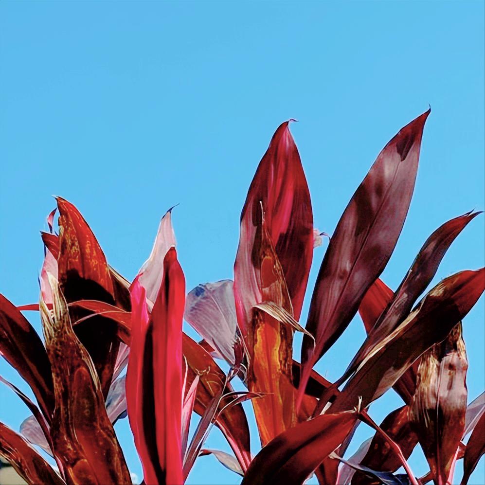 杨卫华履新荆州
 
近日，杨卫华跨市履新荆州，在政协任职。
 
该同志今年56岁