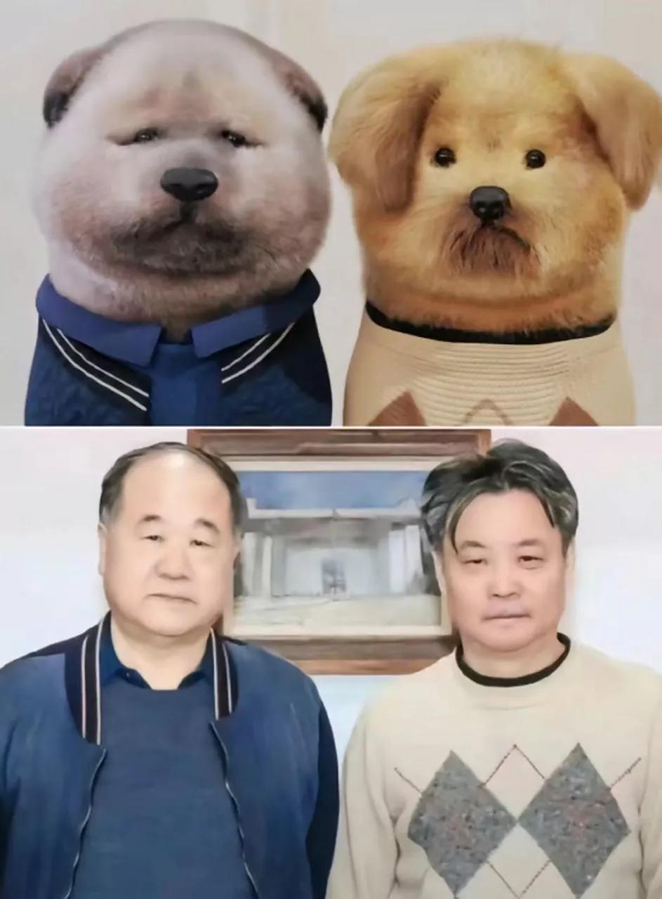 万万没想到，宠物界也有“余华和莫言”！不敢说像，简直就是一模一样！[捂脸][捂脸