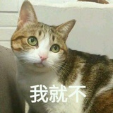 卧梅爱说音乐