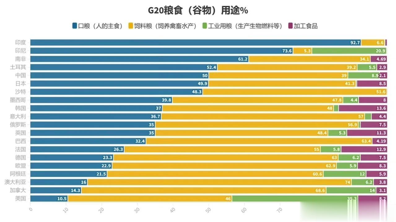 g20粮食谷物用途