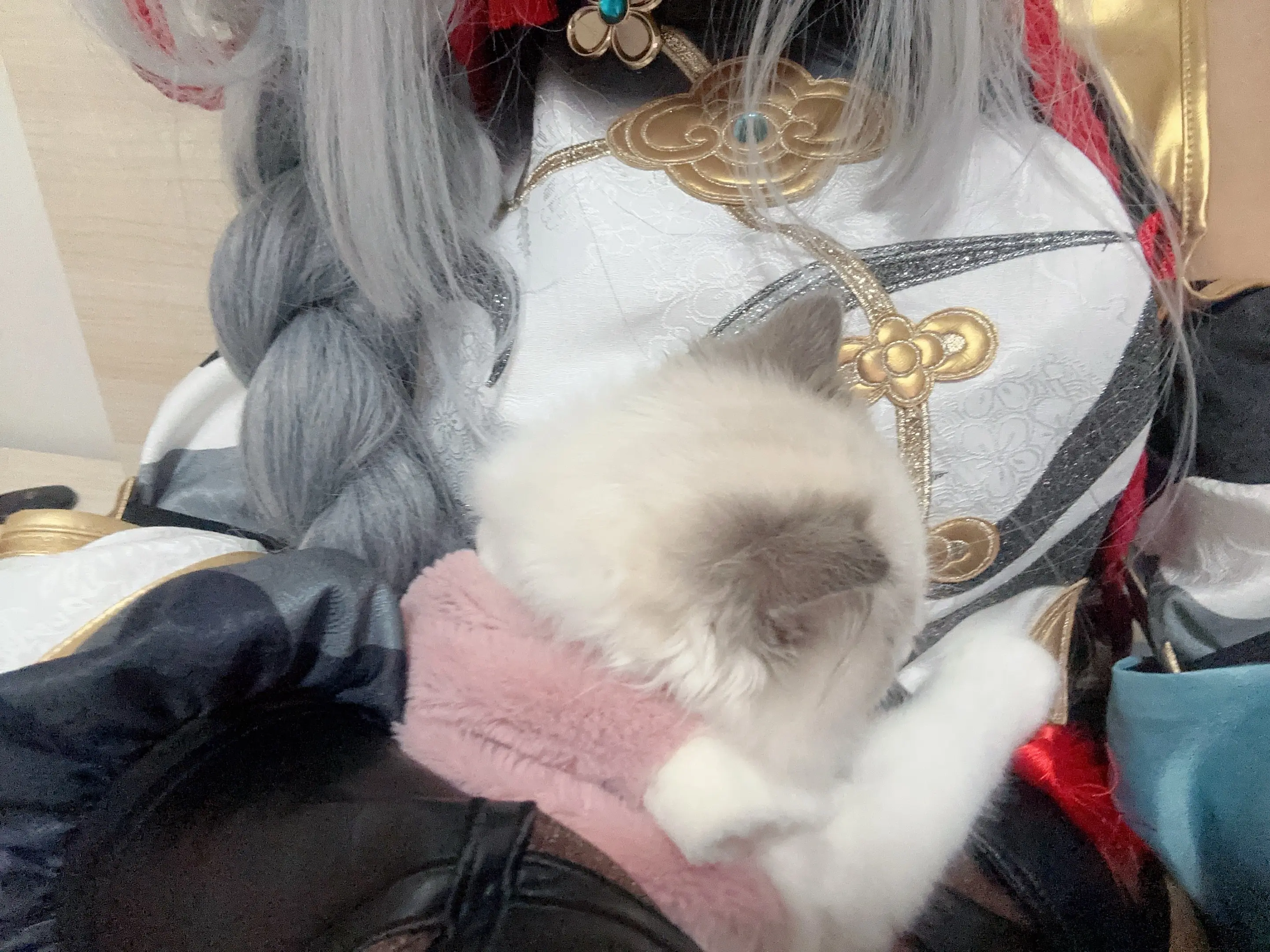 小姨和猫～