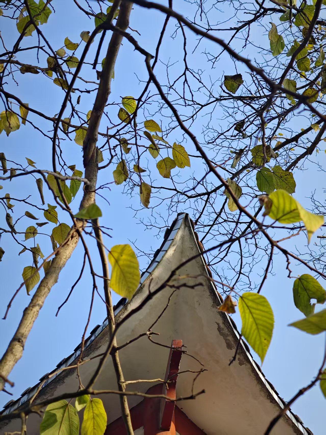 有背景的人确实会早一步上位，但能不能坐稳却取决于本身的实力，否则爬得越高跌得越重