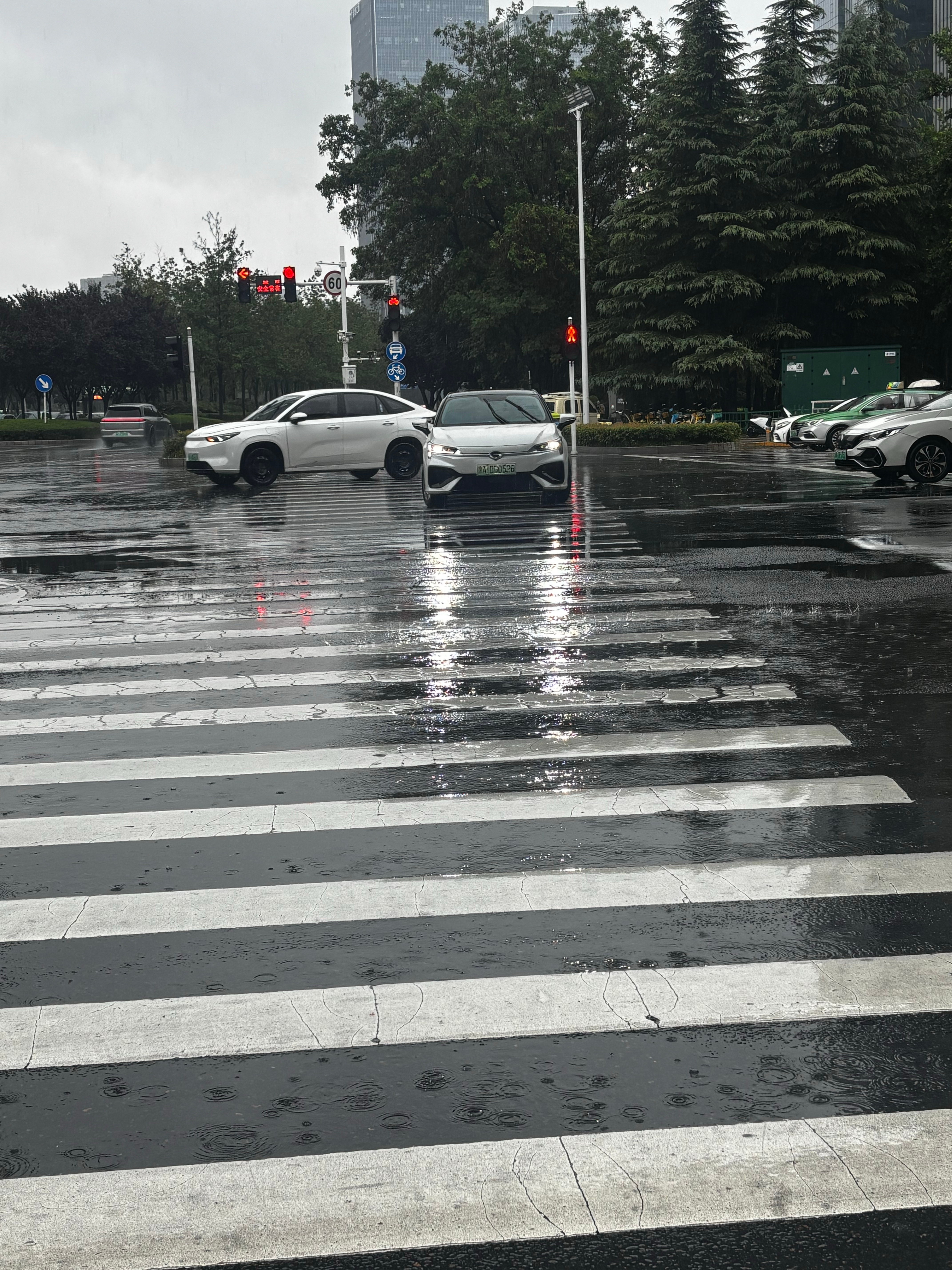 台风太久也要上班白海豚你来河南干啥啊 