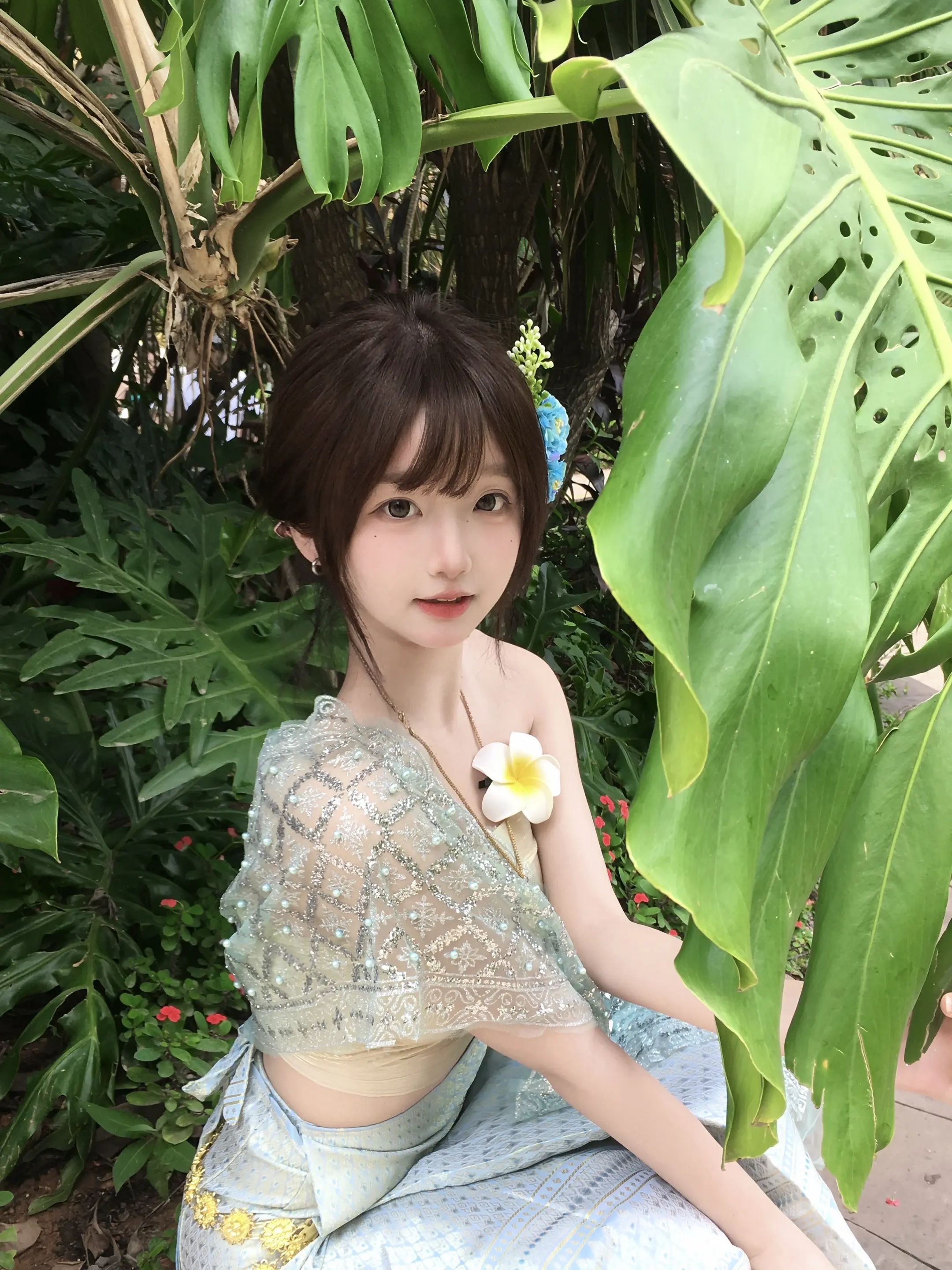 摇摇欲坠不止你的泪 春天的西双版纳太太太美了！！！