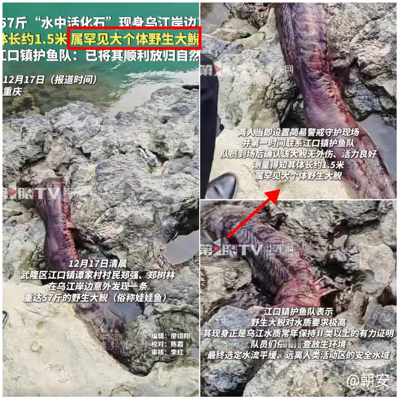 “这哪是‘辣条’！

分明是大自然派来的‘水质考官’！”

重庆村民干活时的意外