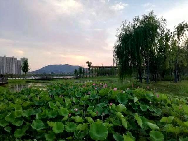 厨房门口，油锅嘶嘶响时，丈母娘把拆迁款的卡塞给小舅子，八十万。
媳妇在旁边笑着劝