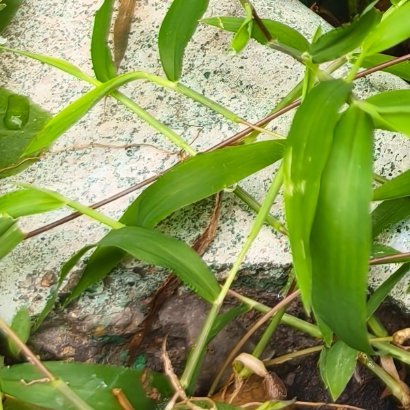 🌻阳光信用 🌻每日一善路远未必难行，心定便可从容。人生就像登山，不在于一步登