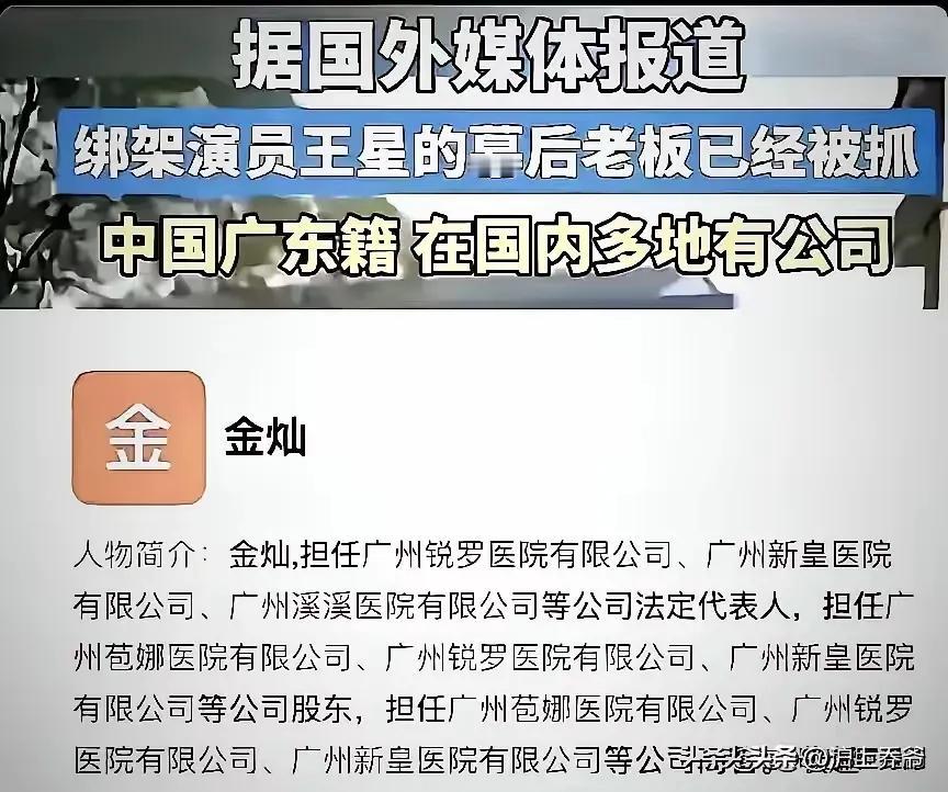 多层身份!在国内是大老板，在国外是杀人不眨眼的恶魔!这些人有没有被逮捕?